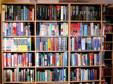 Trans Infopreneur office view 5